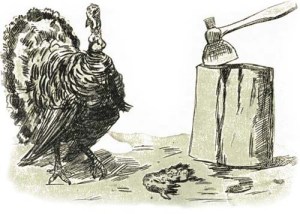 The Turkey Gobbler